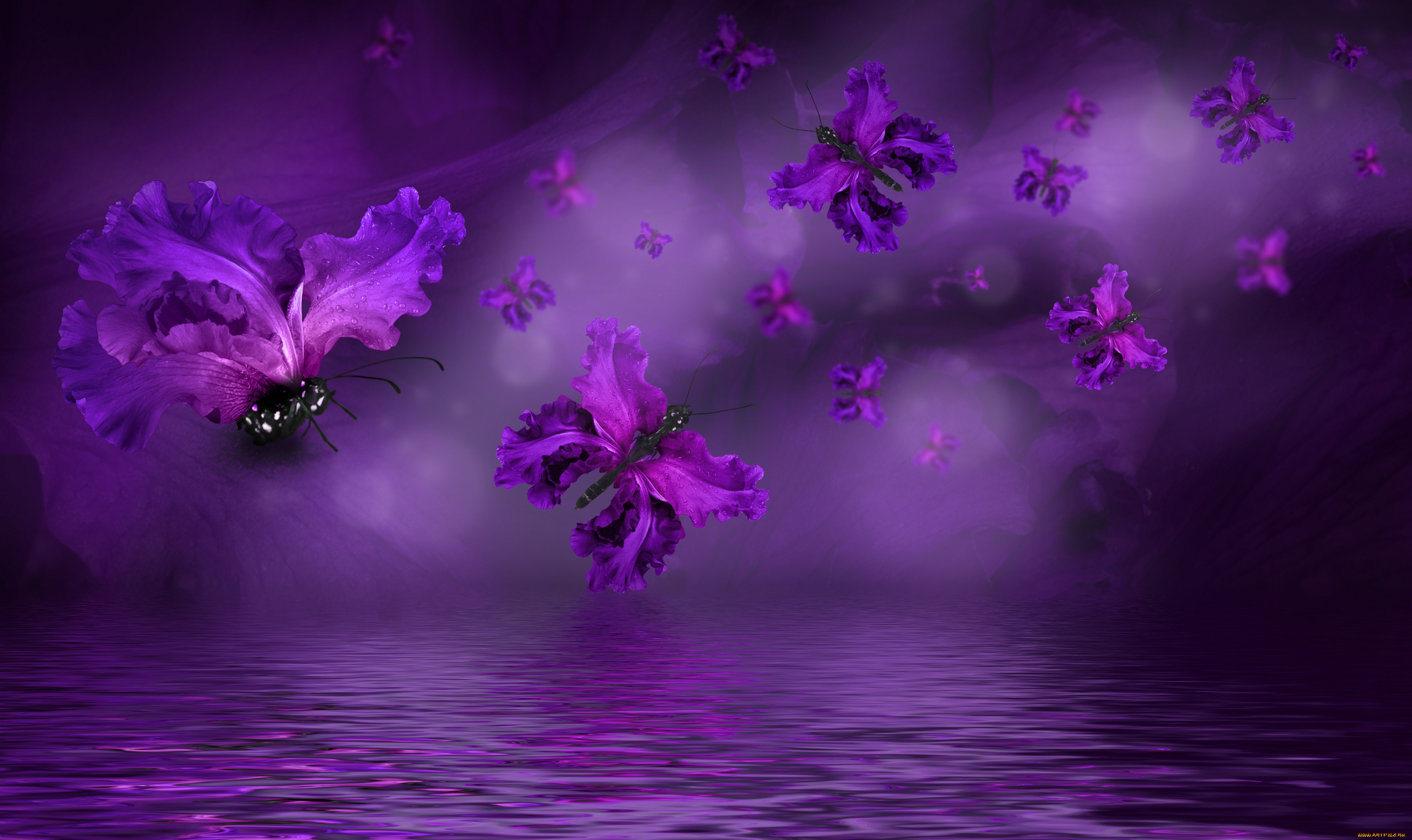 ,  , floral, , water, butterflies, purple, 